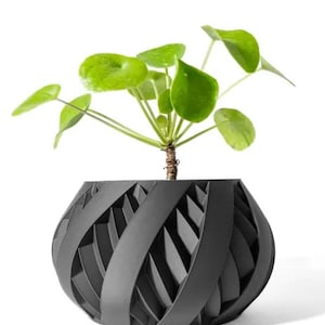 Op de afbeelding: Een zwarte, geometrische pot met een draaiend ontwerp, waarin een groene plant met ronde bladeren staat.