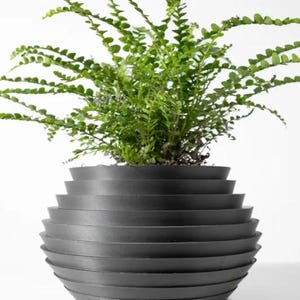 May include: A green fern plant in a black, layered, round planter. The planter is made of multiple stacked rings.