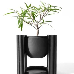 Puede incluir: Una maceta negra con un diseño acanalado y un platillo a juego. Una pequeña planta verde está creciendo en la maceta.