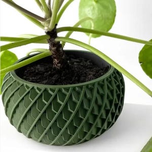 Puede incluir: Una maceta verde con un patrón geométrico con una planta verde de hojas que crece en su interior. La maceta tiene un diseño texturizado y tejido.