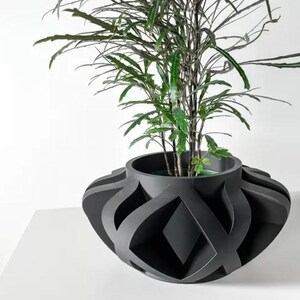 Puede incluir: Una maceta decorativa negra con un diseño geométrico único, que contiene una planta verde con hojas. La maceta tiene una parte superior abierta y una serie de líneas curvas que se cruzan, creando aberturas en forma de diamante. La planta tiene múltiples tallos y hojas largas y delgadas.