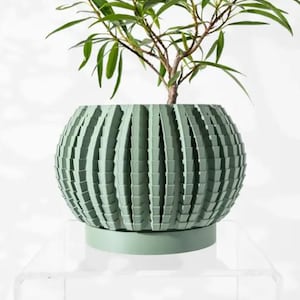 Puede incluir: Una maceta de cerámica verde con un diseño geométrico único. La maceta tiene una forma redondeada y está decorada con una serie de crestas verticales. Una pequeña planta verde está creciendo en la maceta.