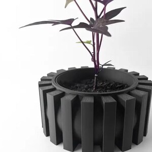 Puede incluir: Una maceta negra con un diseño geométrico, que presenta una planta con hojas de color morado oscuro.