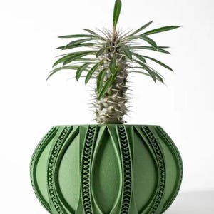 Può includere: Un vaso in ceramica verde con un design testurizzato unico presenta una piccola pianta succulenta spinosa con foglie verdi.