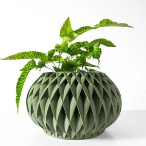 Può includere: Un vaso verde con un motivo geometrico che contiene una vivace pianta verde con foglie a strisce. Il vaso ha una forma arrotondata con un design strutturato a forma di diamante. Le foglie della pianta sono di un verde brillante con strisce verde scuro.