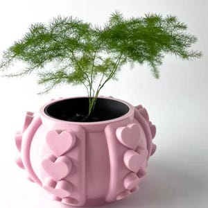 Può includere: Un vaso di ceramica rosa con un design a forma di cuore. Il vaso è pieno di una pianta verde.