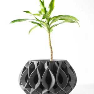 May include: A grey, geometric planter with a unique, intricate design. The planter is filled with a green plant with long, slender leaves.