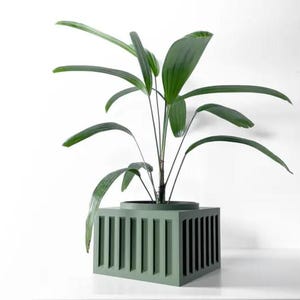 Puede incluir: Una planta verde en maceta con hojas largas y estrechas en una maceta cuadrada verde con listones verticales.