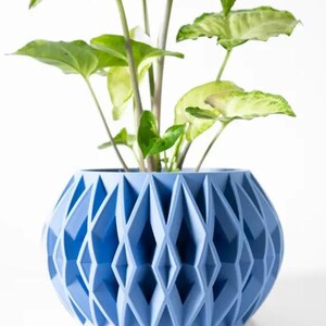 May include: A light blue geometric planter with a diamond pattern. A green plant with white variegation is growing in the planter.