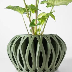 May include: A green ceramic planter with a geometric, lattice-like design. The planter is filled with a leafy green plant.