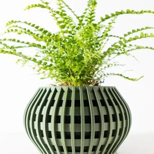 May include: A green, geometrically patterned ceramic planter with a fern plant growing inside.