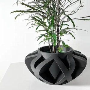 Può includere: Un vaso da fiori geometrico nero con una pianta verde frondosa all'interno. Il vaso ha un design unico e intricato con un motivo intrecciato.