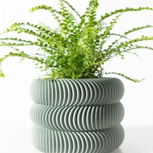 Può includere: Un vaso in ceramica verde con un design unico, ondulato e testurizzato. Il vaso è pieno di una pianta verde frondosa.