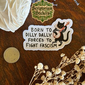 Pode incluir: Um autocolante com o texto "BORN TO DILLY DALLY FORCED TO FIGHT FASCISM" e um gato preto a tocar banjo. O autocolante &eacute; branco com texto preto e uma ilustra&ccedil;&atilde;o de gato preto. Uma moeda e flores decorativas tamb&eacute;m s&atilde;o vis&iacute;veis.