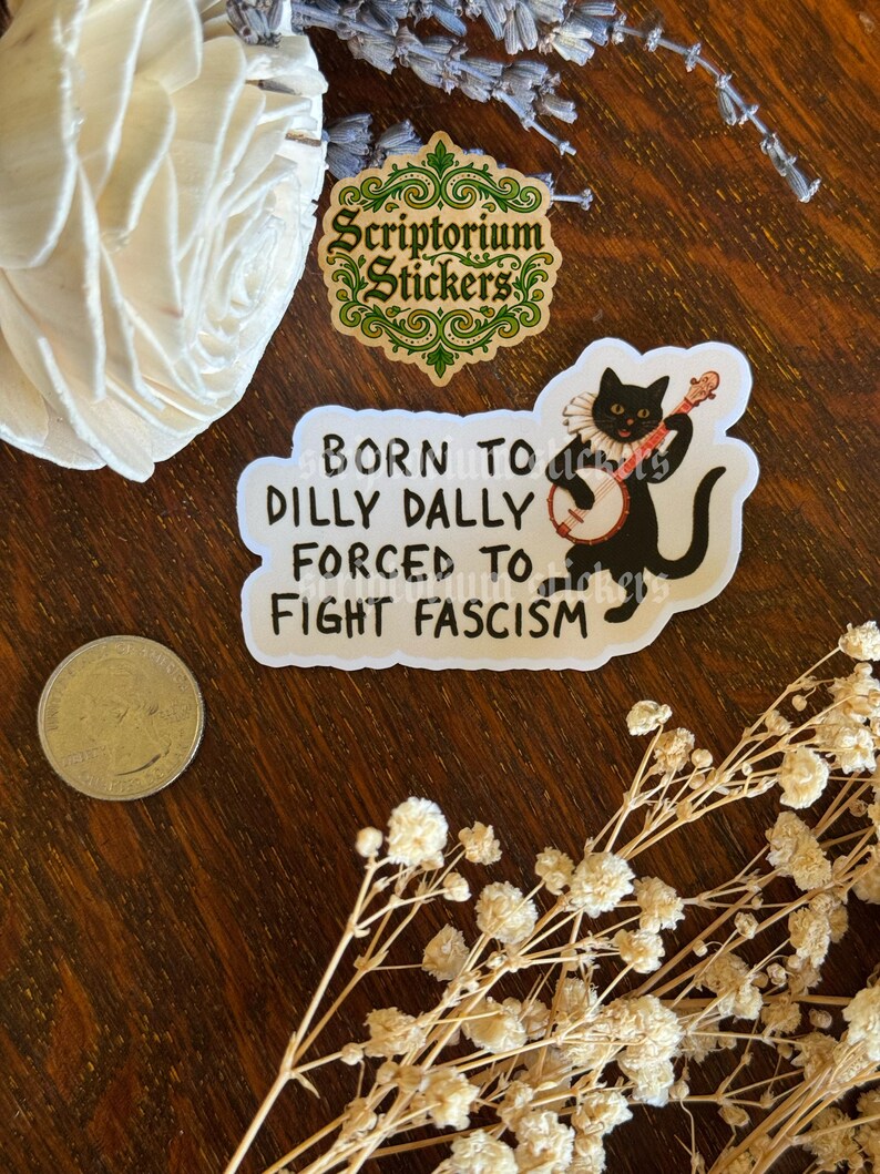 Pode incluir: Um autocolante com o texto "BORN TO DILLY DALLY FORCED TO FIGHT FASCISM" e um gato preto a tocar banjo. O autocolante &eacute; branco com texto preto e uma ilustra&ccedil;&atilde;o de gato preto. Uma moeda e flores decorativas tamb&eacute;m s&atilde;o vis&iacute;veis.