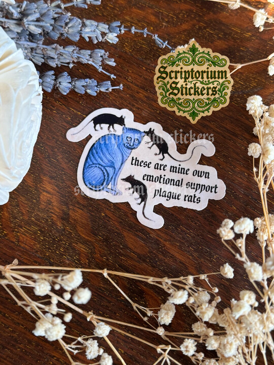 Medieval Cat Sticker | Plague Rat Sticker, Medieval Meme Sticker ...