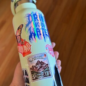 May include: A light green water bottle covered in stickers. Stickers include a butterfly, the words "DRINK YOUR WATER" in holographic lettering, and a stamp that says "FUND PARKS NOT BILLIONAIRES". The bottle has a silver lid and handle.