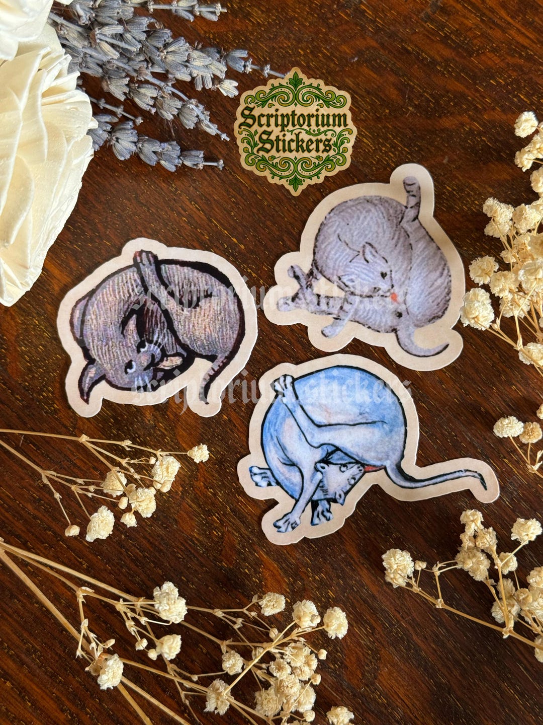 3pc Medieval Cat Butt Licker Stickers | Cat Sticker, Meme Sticker ...