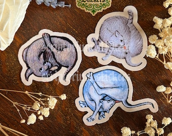 3pc Medieval Cat Butt Licker Stickers | Cat Sticker, Meme Sticker, Unique Gift, Medieval Marginalia Sticker, Medievalcore