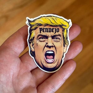 Pendejo Trump Slap Sticker Packs | Anti Trump Sticker, Anti Fascism, Protest Sticker, Satire, Political Humor, FDT, 8647, MAGA is a Cult