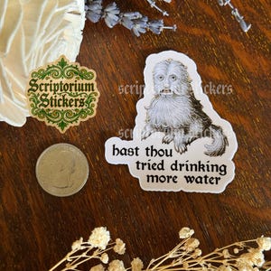May include: A sticker featuring a whimsical illustration of a furry creature with the text "hast thou tried drinking more water." Also includes a "Scriptorium Stickers" logo and a quarter.
