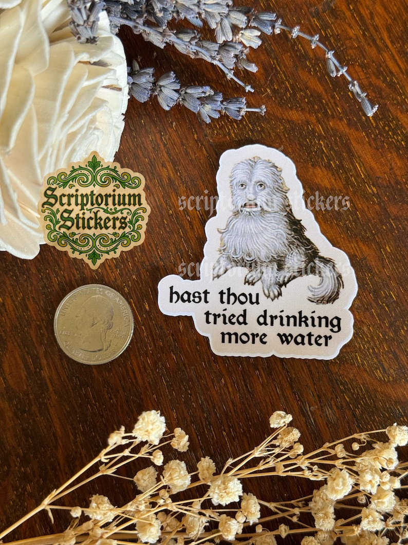 May include: A sticker featuring a whimsical illustration of a furry creature with the text "hast thou tried drinking more water." Also includes a "Scriptorium Stickers" logo and a quarter.