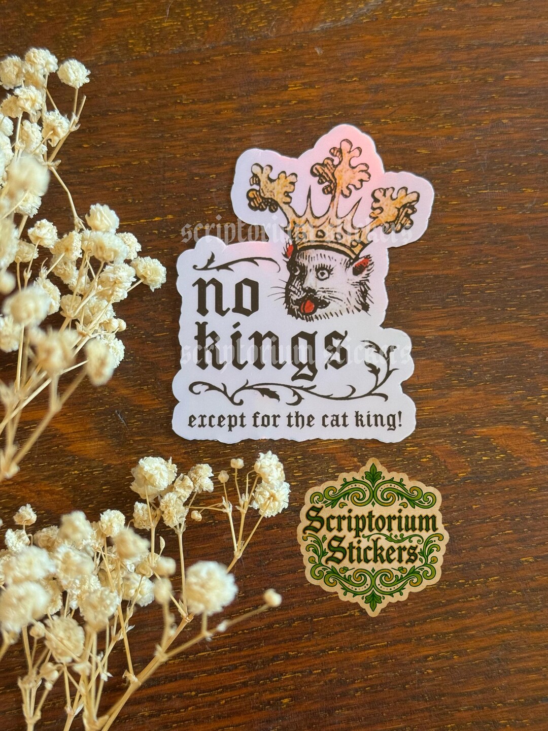 No Kings Medieval Meme Sticker | Medieval Cat King Sticker, Medieval ...