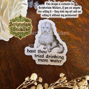May include: A sticker featuring a vintage illustration of a furry creature with the text "hast thou tried drinking more water." The sticker also includes the text "Scriptorium Stickers."
