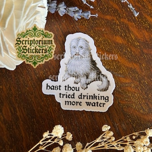 May include: A sticker featuring a vintage illustration of a furry creature with the text "hast thou tried drinking more water". The sticker is white with black text and a black and white illustration.