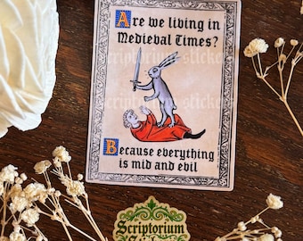 Medieval Times Sticker | Meme Sticker, Medieval Bunny Sticker, Medieval Art Sticker, Weird Medieval Guys