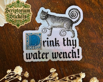 Drink Thy Water Wench Medieval Cat Sticker | Holographic Sticker, Meme Sticker, Drink More Water, Middle Ages Sticker, Water Bottle Sticker