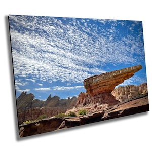 Radiator Springs in Cars Land - California Adventure - Druck / Leinwand / Acryl / Metall