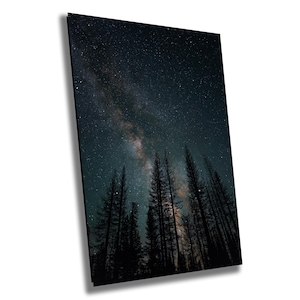Puede incluir: Una impresión enmarcada que representa una escena nocturna. La imagen muestra un cielo azul oscuro lleno de estrellas y la Vía Láctea, con árboles de hoja perenne silueteados en primer plano. La impresión está en ángulo.