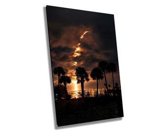May include: Silhouette of palm trees against a dark sky with a bright orange and yellow cloud formation. The city lights are visible in the distance.