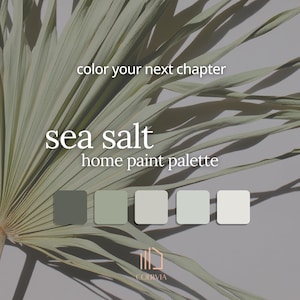 Sea Salt Sherwin Williams Home Paint Palette Guide | 5 Sherwin Williams Paint Colors | Whole Home Color Palette