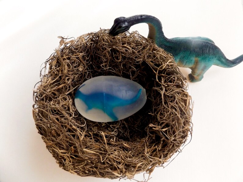 dinosaur eggs in nest