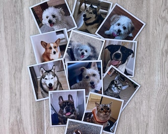 Custom Photo Magnets, Personalized Gift, Fridge Decor
