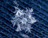 Nature Photography - Fine Art Photography - Macro Photography - Snowflake Photograph - Digital Photos - Digital Photography -