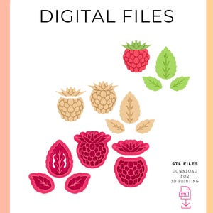 May include: Digital files for 3D printing, featuring stylized raspberries and leaves in red, green, and tan. The image includes the text "DIGITAL FILES" and "STL FILES DOWNLOAD FOR 3D PRINTING".