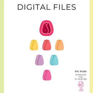 May include: Digital files for 3D printing of seven tulip flower designs. The tulips are in various colors, including pink, red, yellow, orange, purple, and blue. STL files are available for download.