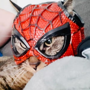 Spider-Man Cat Mask