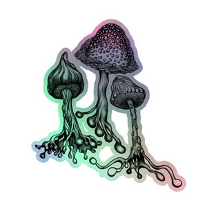 Pegatina holográfica 3D de hongo arcoíris, vinilo caprichoso para amantes de la naturaleza, hongos psicodélicos, arte abstracto hippie, mágico y psicodélico.