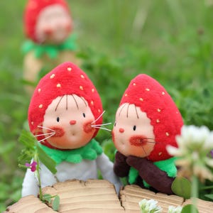Handmade Waldorf Strawberry Cat Dolls with Fish Bags: Collectible Plush Set