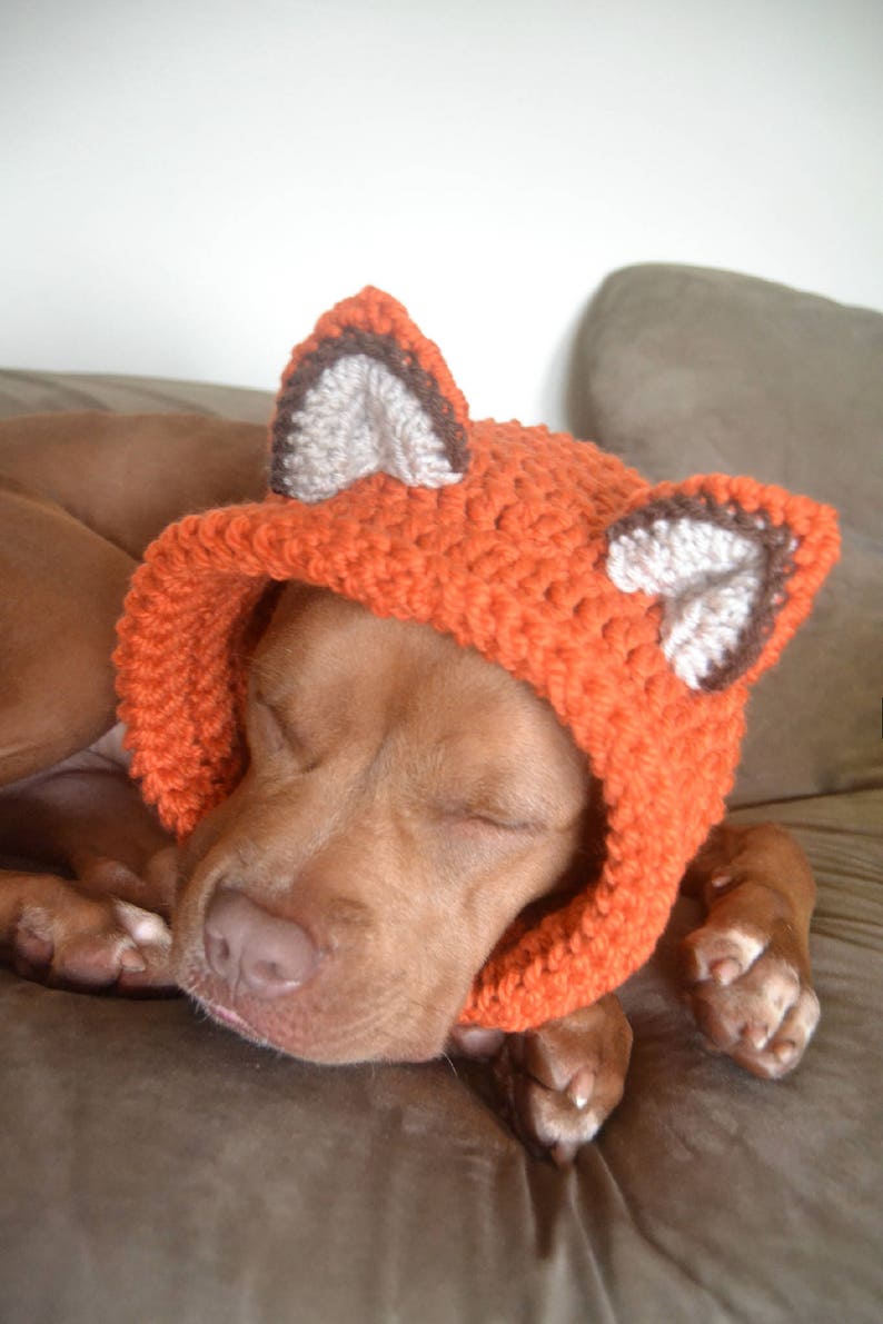 Fox Dog Hat Dog Hat Hats for Dogs Gift for Pet Lovers Etsy