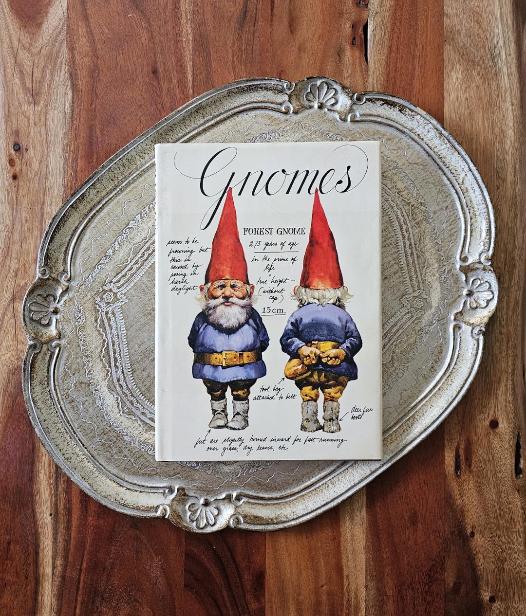 1977Unieboek B.V. Gnomeland 陶器 Vintage 1977 Gnomes Book by Wil Huygen, Rien Poortvliet - Etsy