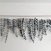 Eucalyptus Wall Hanging - Wall Hanging - Home Decor - Plant Wall Hanging - Dried Plant Hanging - Wall Decor 