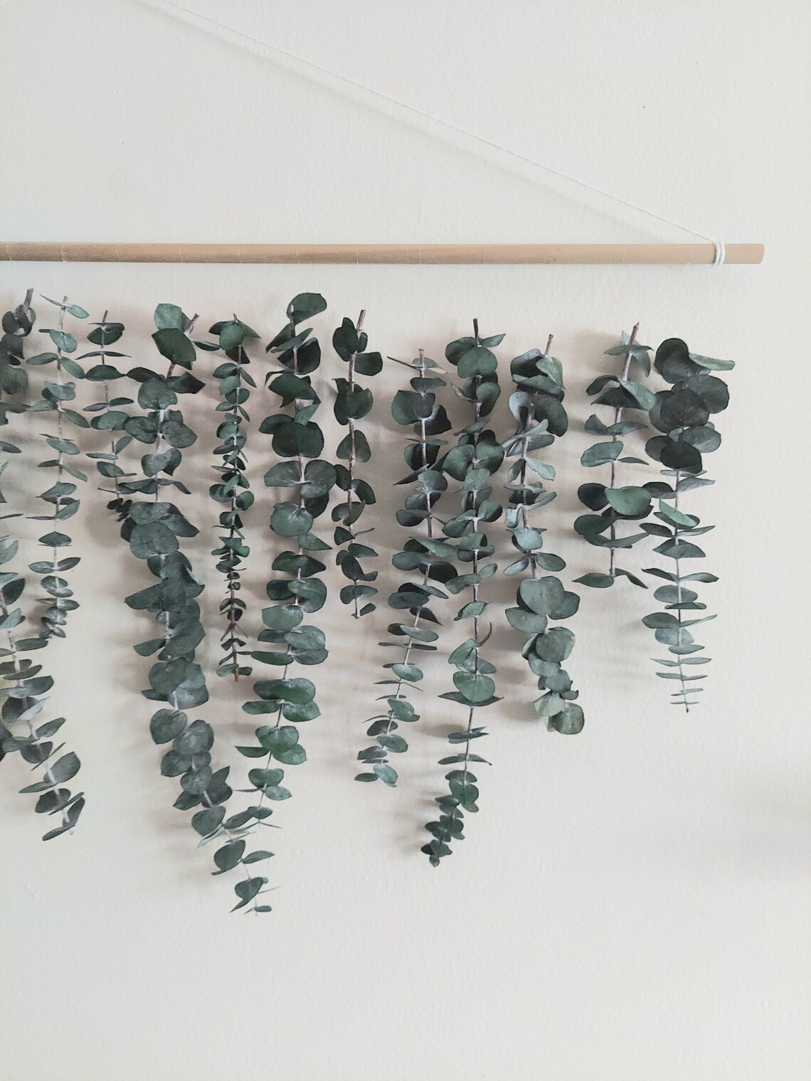 Eucalyptus Wall Hanging Wall Hanging Home Decor Plant Etsy