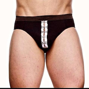 Puede incluir: Bóxer marrón con un detalle blanco y plateado en la parte delantera.