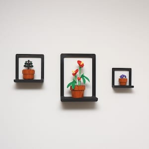 May include: Three black square shelves with potted plants against a white wall. The plants include a small tree, red flowers, and purple flowers. The pots are orange and brown.