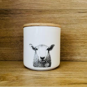 May include: White ceramic storage jar with a bamboo lid. The jar has a black and white illustration of a sheep with a sprig of grass in its mouth. The design is centered on the jar, which sits on a wooden surface.